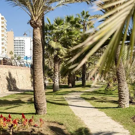 Rosa Benalmádena